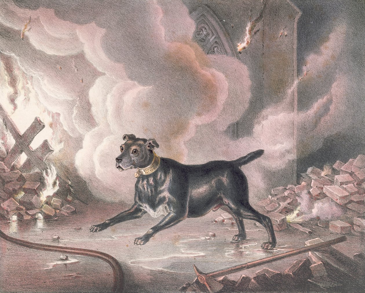 Londons brandmandshund af William Heath