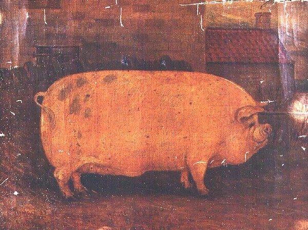Prisen Pig Jumbo II af William Henderson