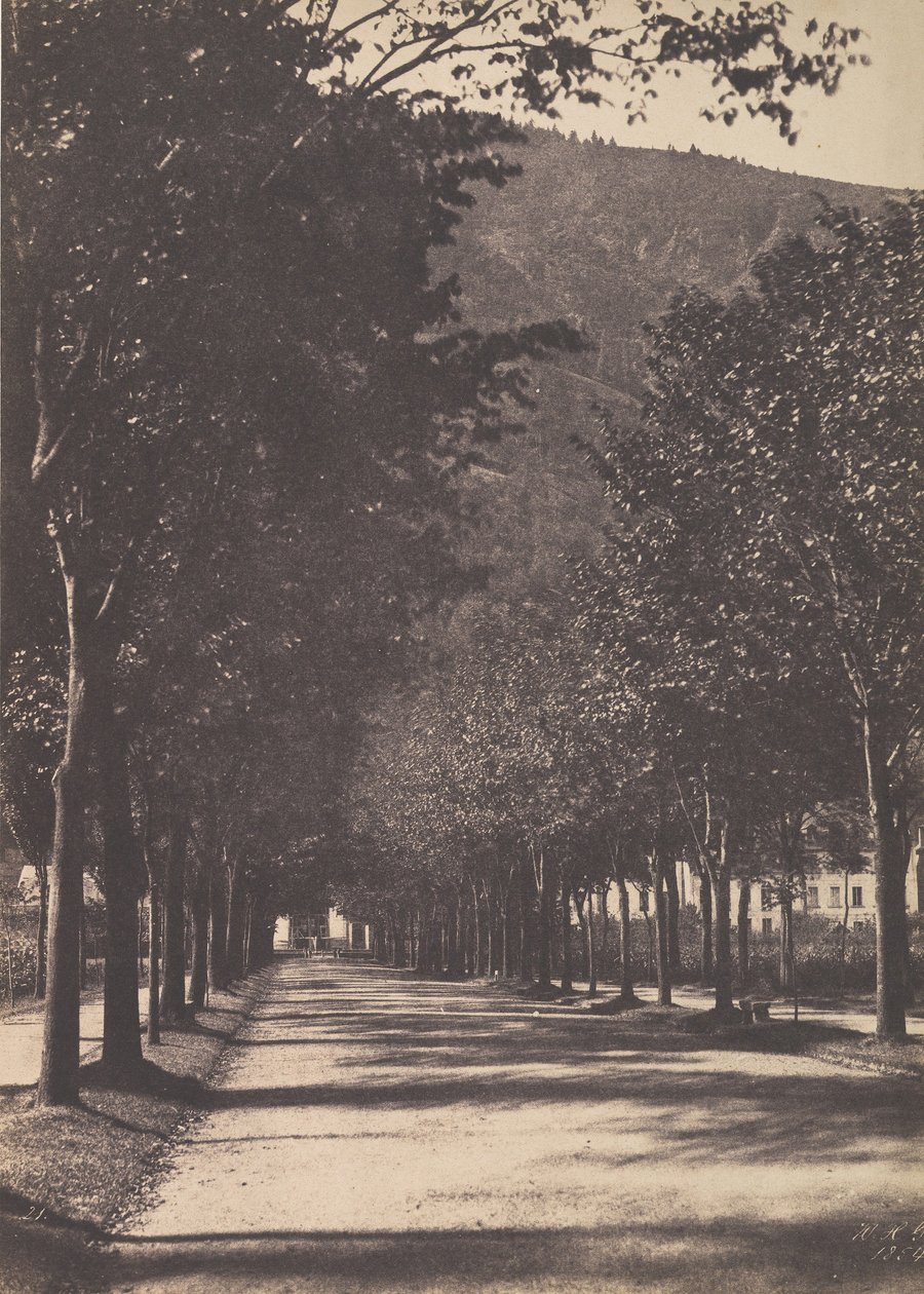 Træernes Alley, Pau, 1854. af William Henri Gebhard