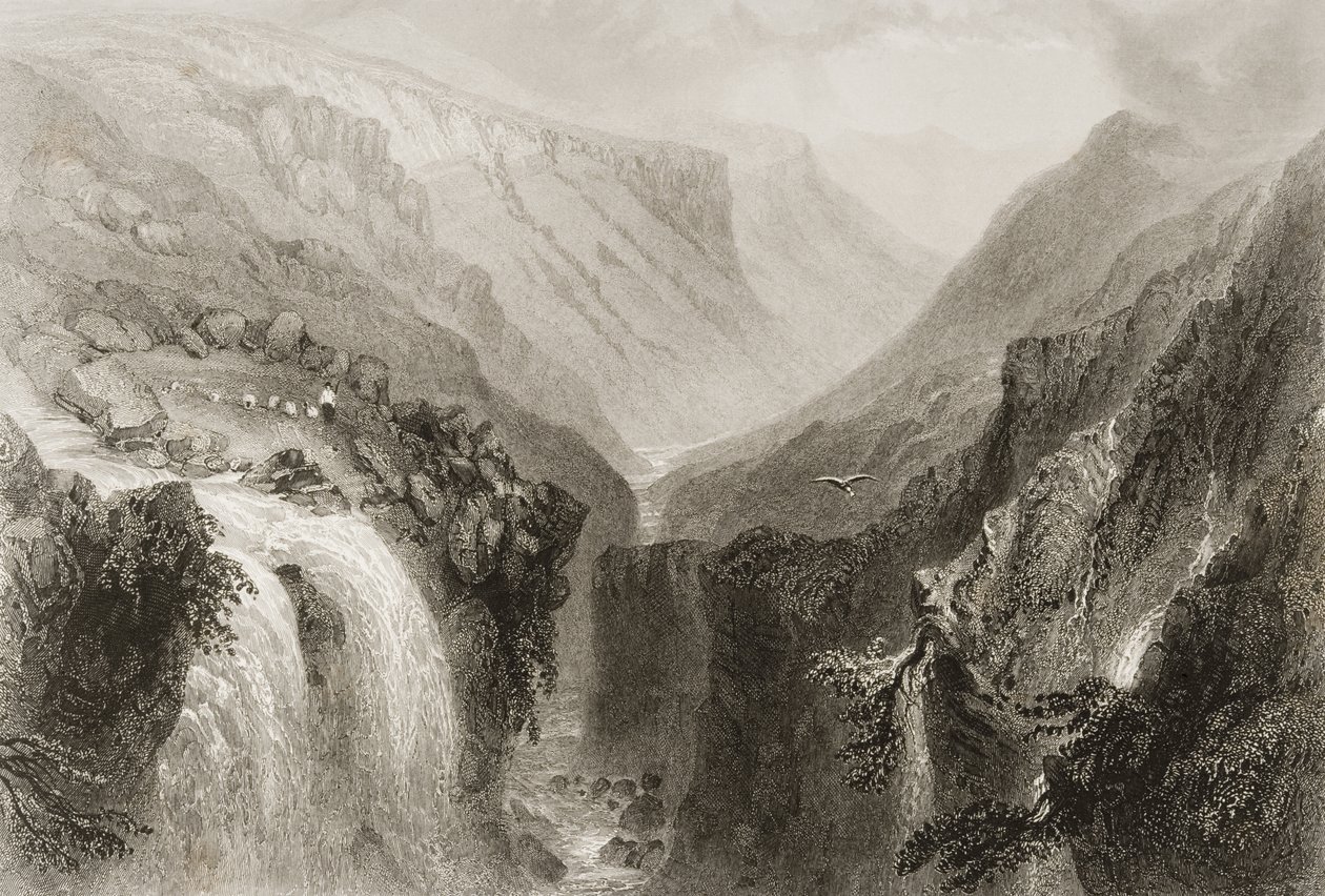 Leder af Glenmalure, County Wicklow, fra 
