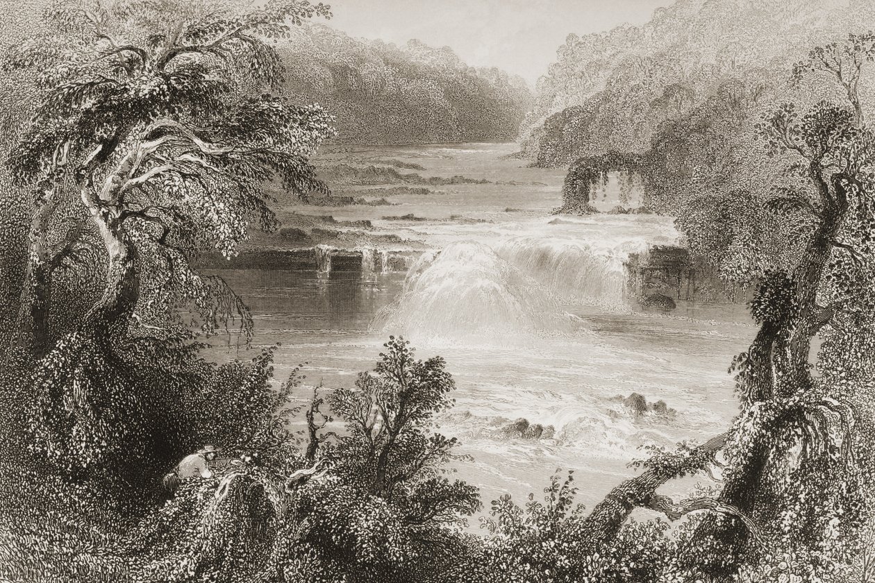 Salmon Leap at Leixlip, County Kildare, fra 