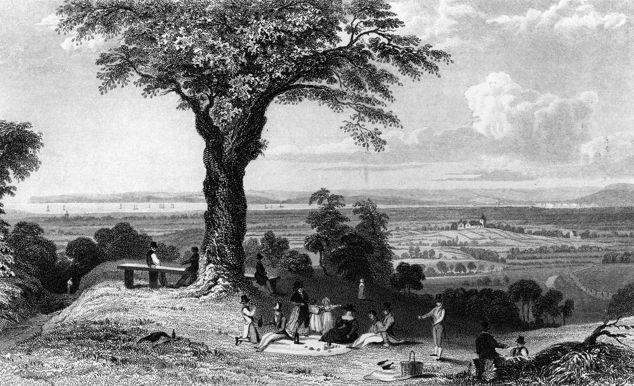 Scene fra Laindon Hill, nær Horndon, Essex, indgraveret af Henry Wallis, 1832 af William Henry Bartlett