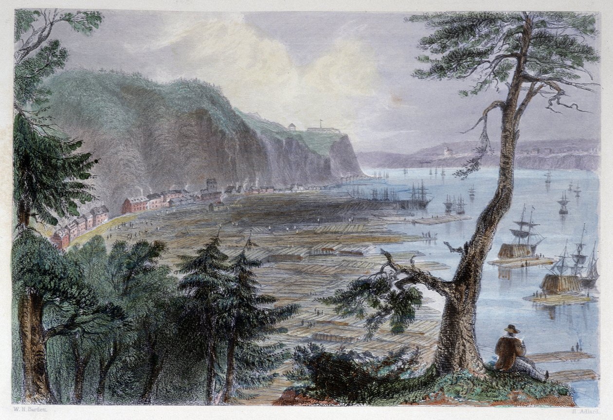 Træaflejring nær Quebec - i "" canadisk landskab illustreret" af Bartlett W. H. af William Henry Bartlett