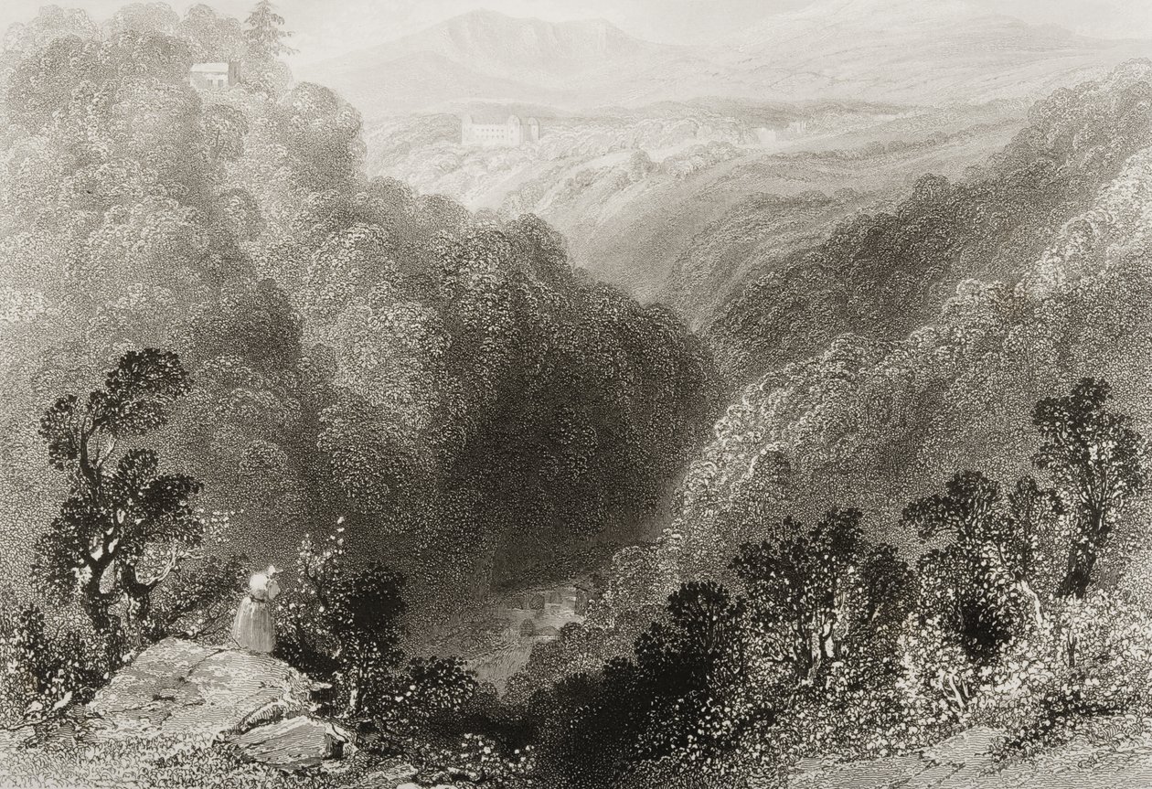 Udsigt over Powerscourt fra Dargle, County Wicklow, fra 