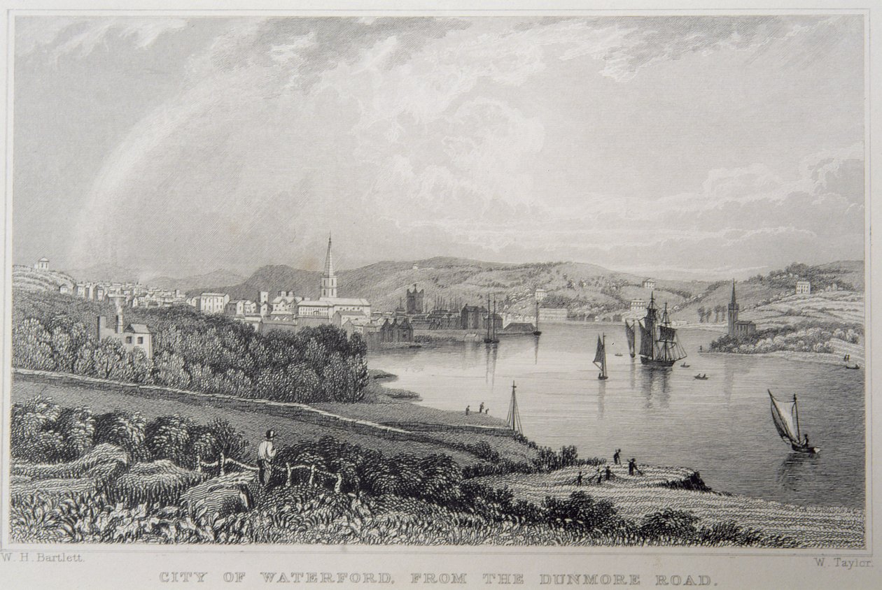 Udsigt over Waterford fra The Dunmore Road, Irland, indgraveret af W. Taylor af William Henry Bartlett