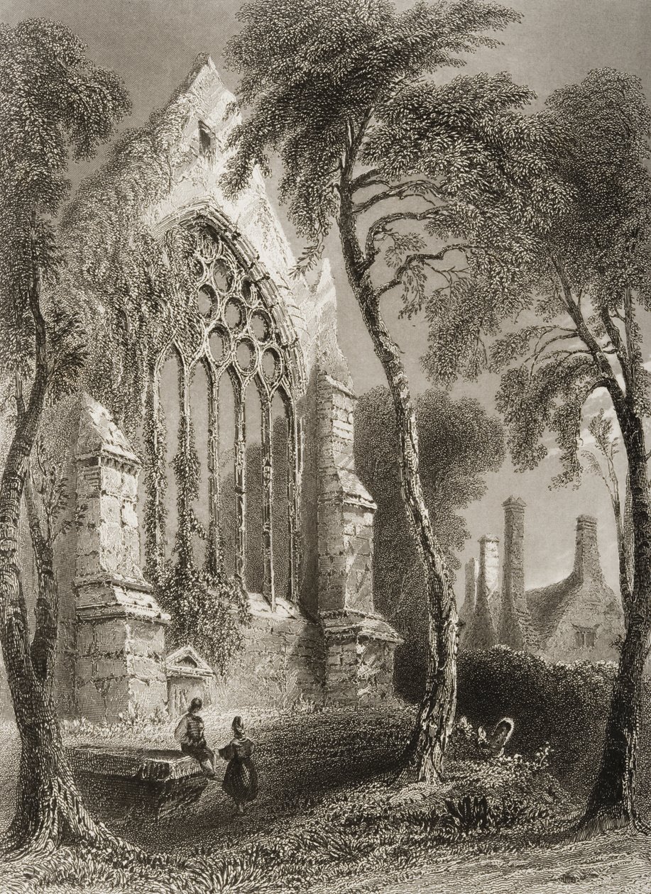Youghal Abbey, County Cork, Irland, fra 