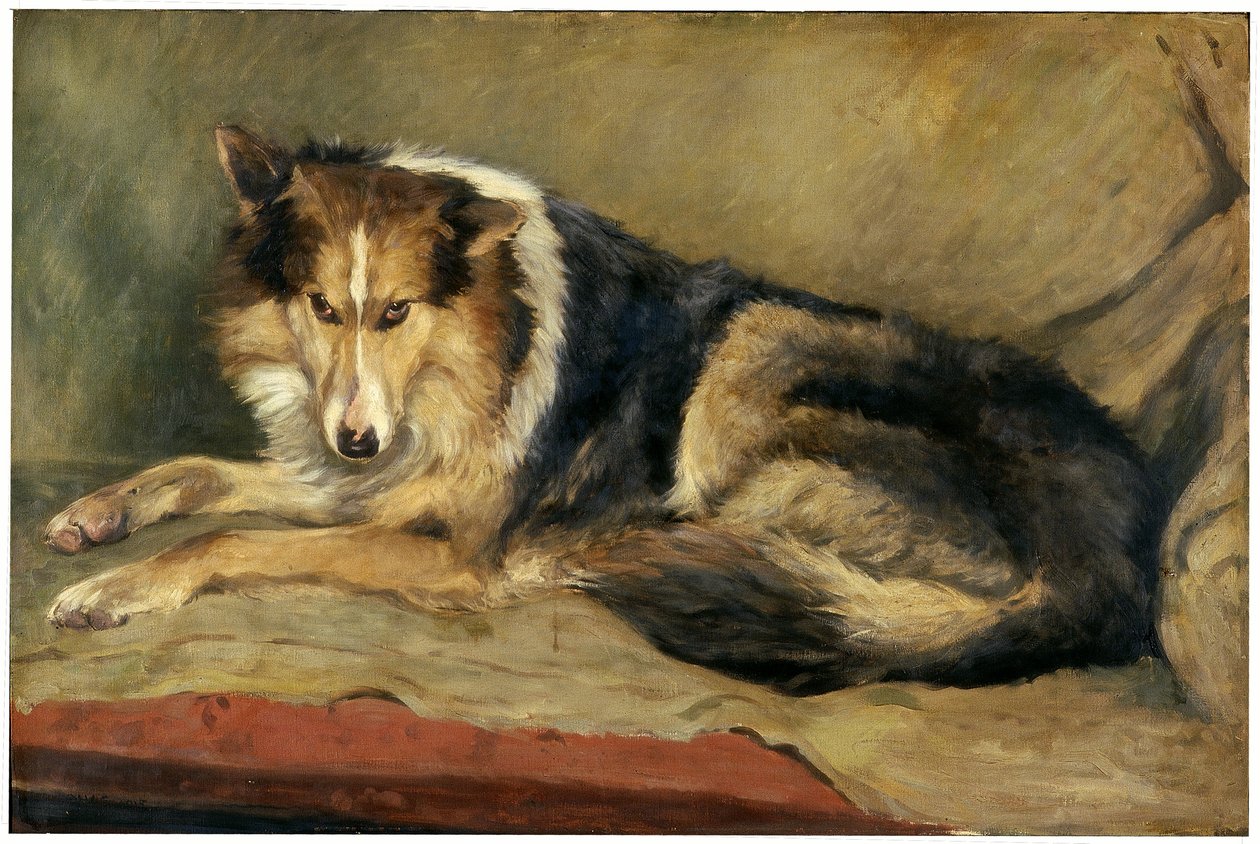 Collie hund af William Henry Charlton