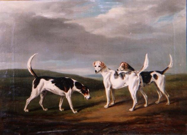 Rævehunde i et landskab af William Henry Davis