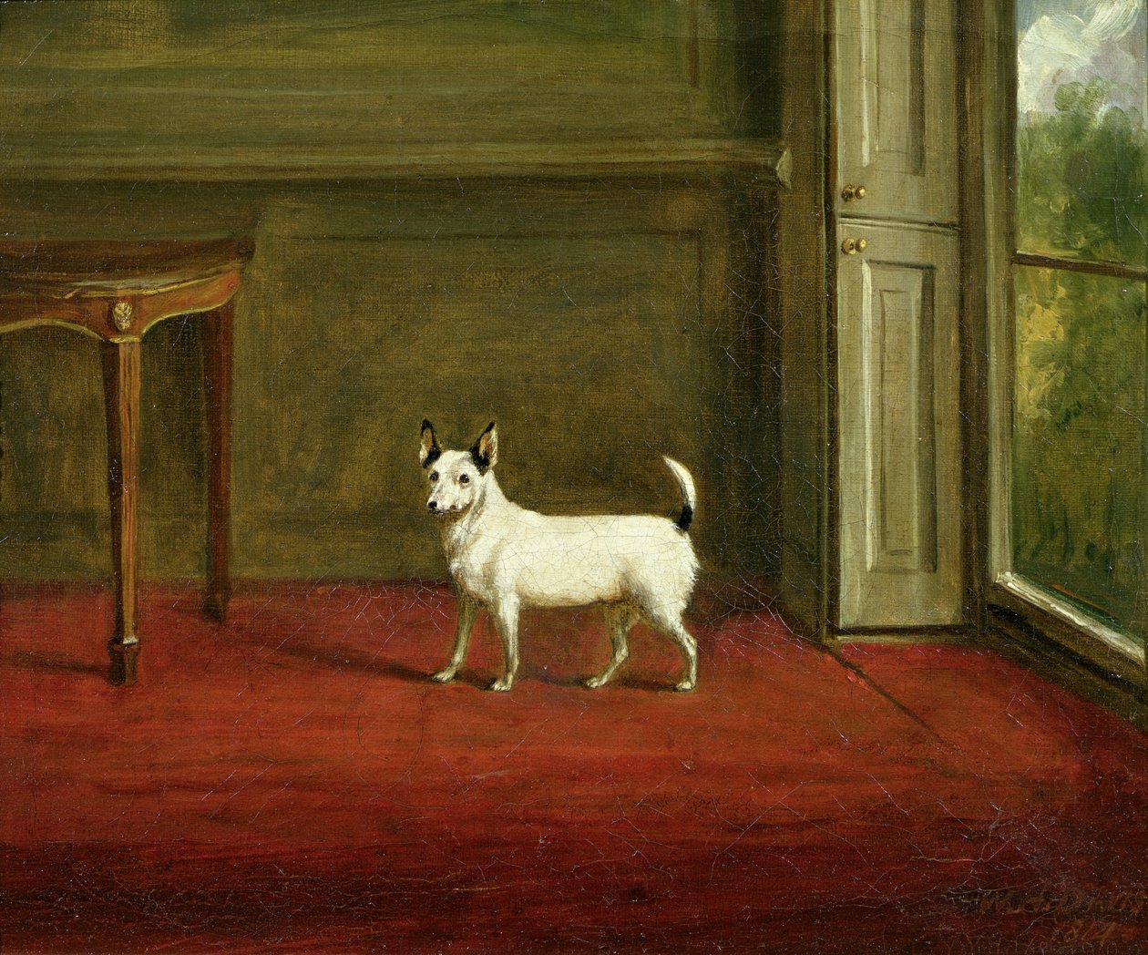 Portræt af en Jack Russell Terrier (i Regency Interior) 1814 af William Henry Davis