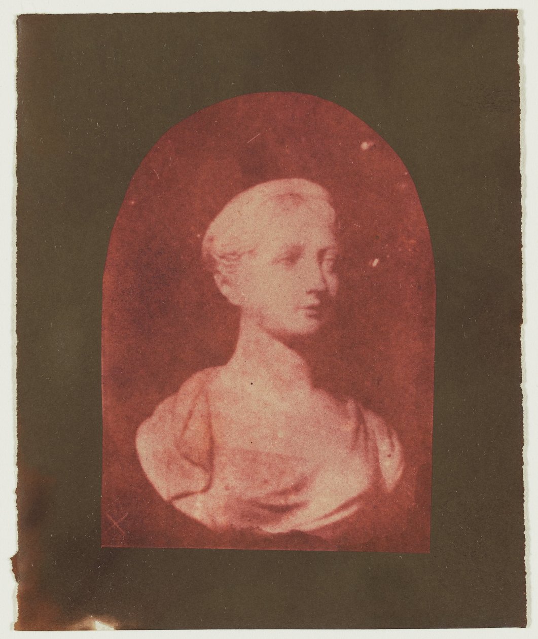 [Büste einer jungen britischen Frau] af William Henry Fox Talbot