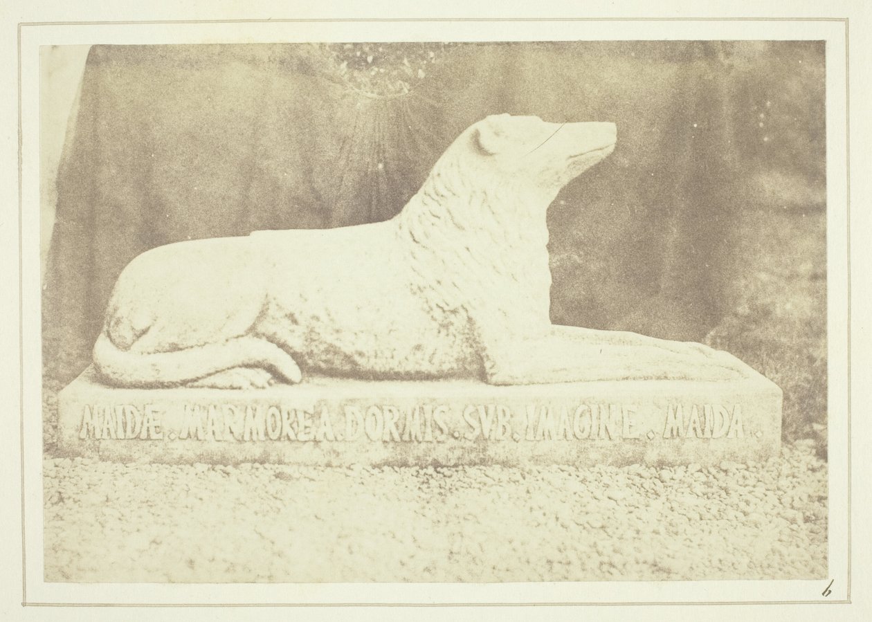 Figur af Sir W. Scotts yndlingshund Maida, ved siden af døren til hallen i Abbotsford af William Henry Fox Talbot