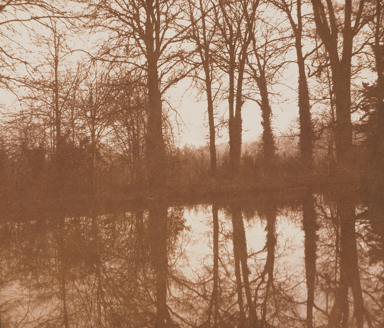 Reflections, 1843 (sepia foto) af William Henry Fox Talbot
