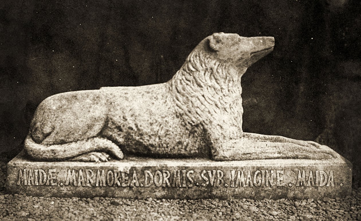 Statue af Maida, rapporteret at være Sir Walter Scotts yndlingshund. (sepia billede) af William Henry Fox Talbot