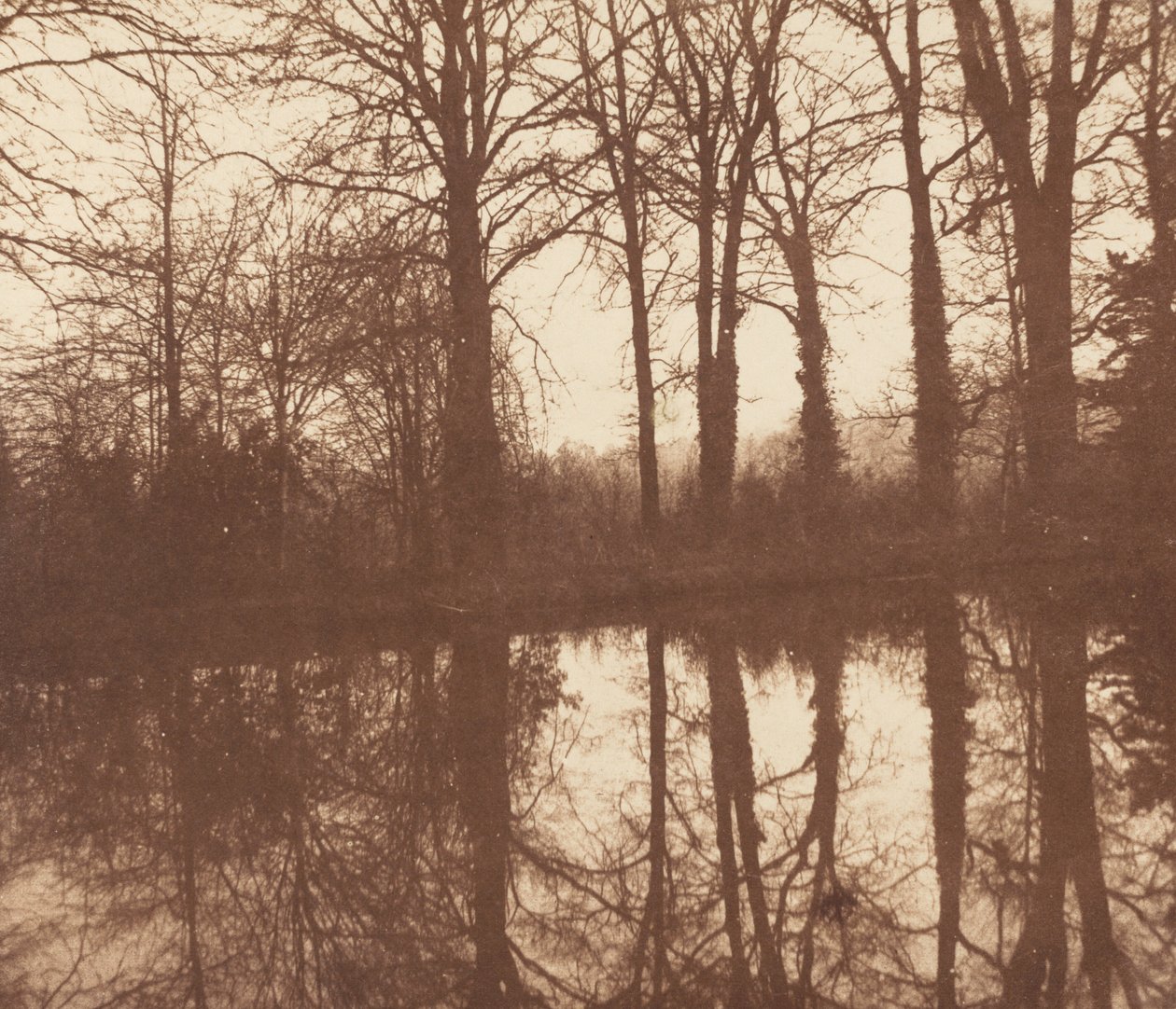 Vintertræer, spejlet i en dam,1841-1842 (foto) af William Henry Fox Talbot