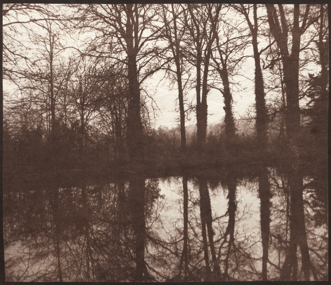 Vintertræer reflekteret i en dam, 1841-42. af William Henry Fox Talbot