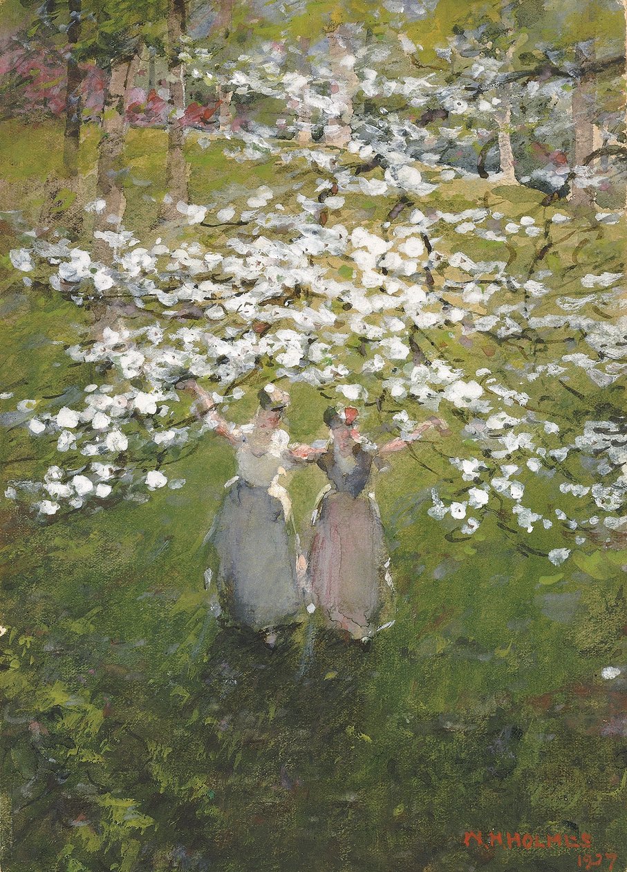 Blomster af William Henry Holmes
