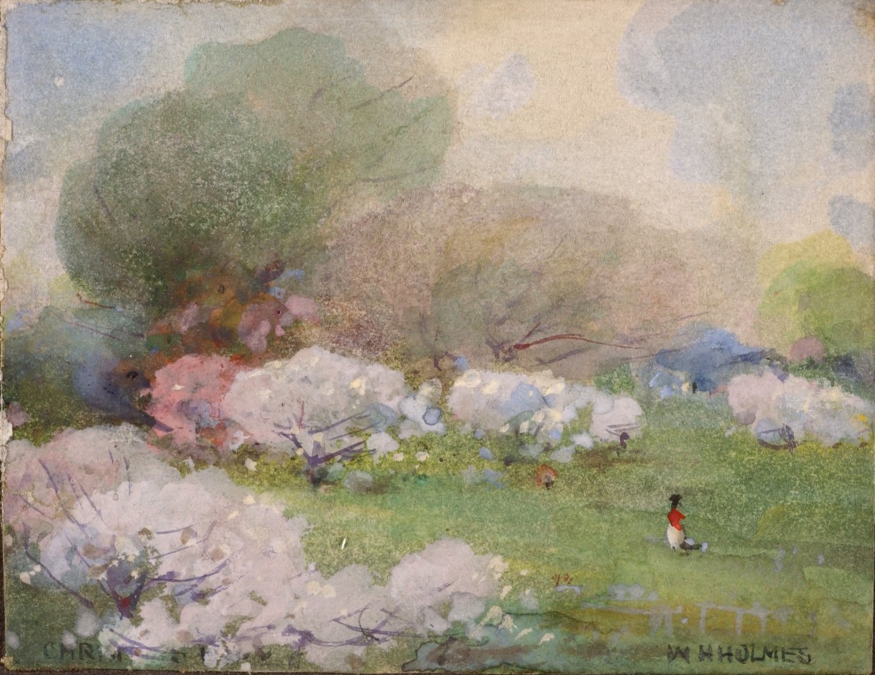 Kirsebærblomster af William Henry Holmes