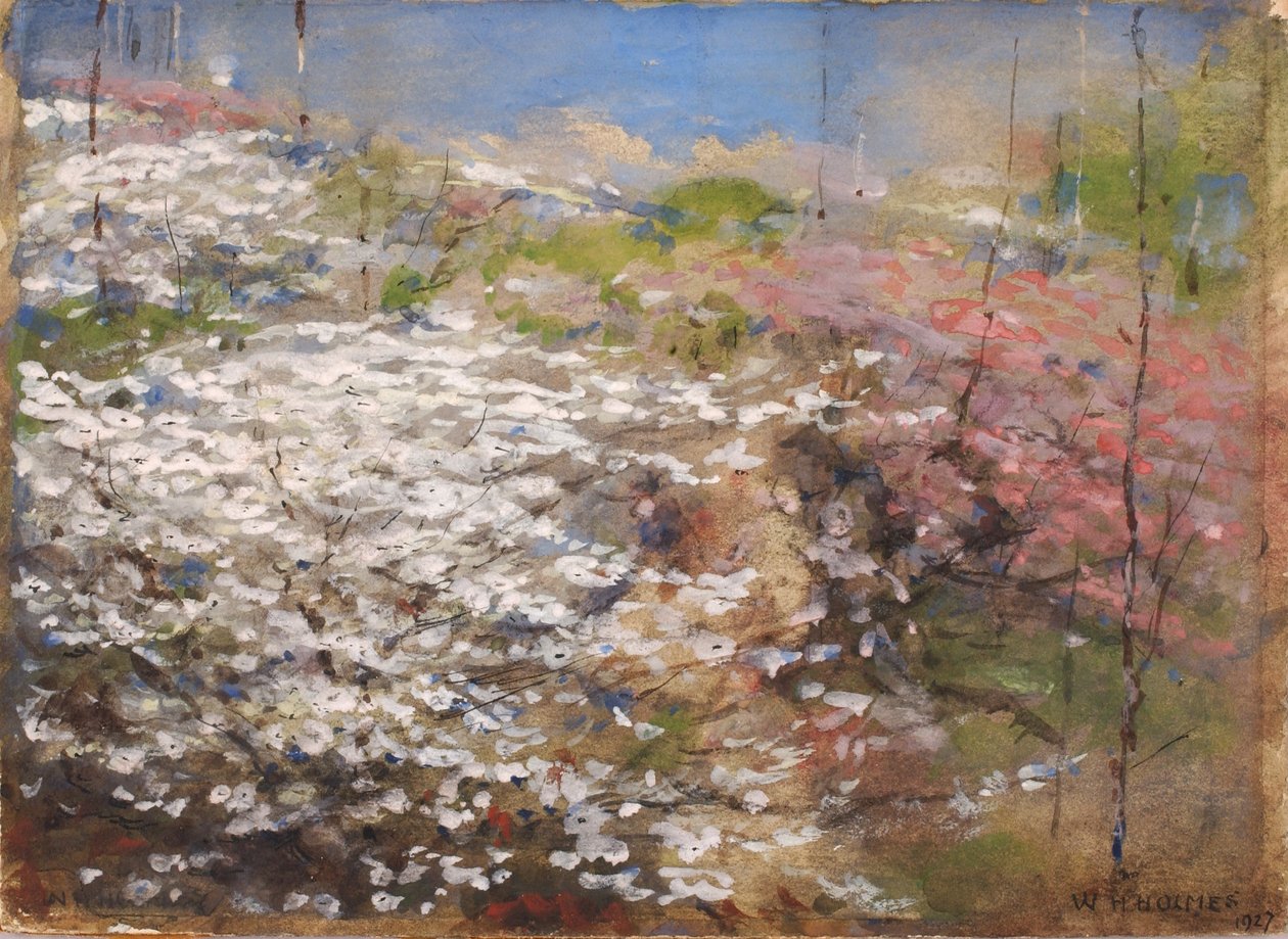 Mark med blomster af William Henry Holmes