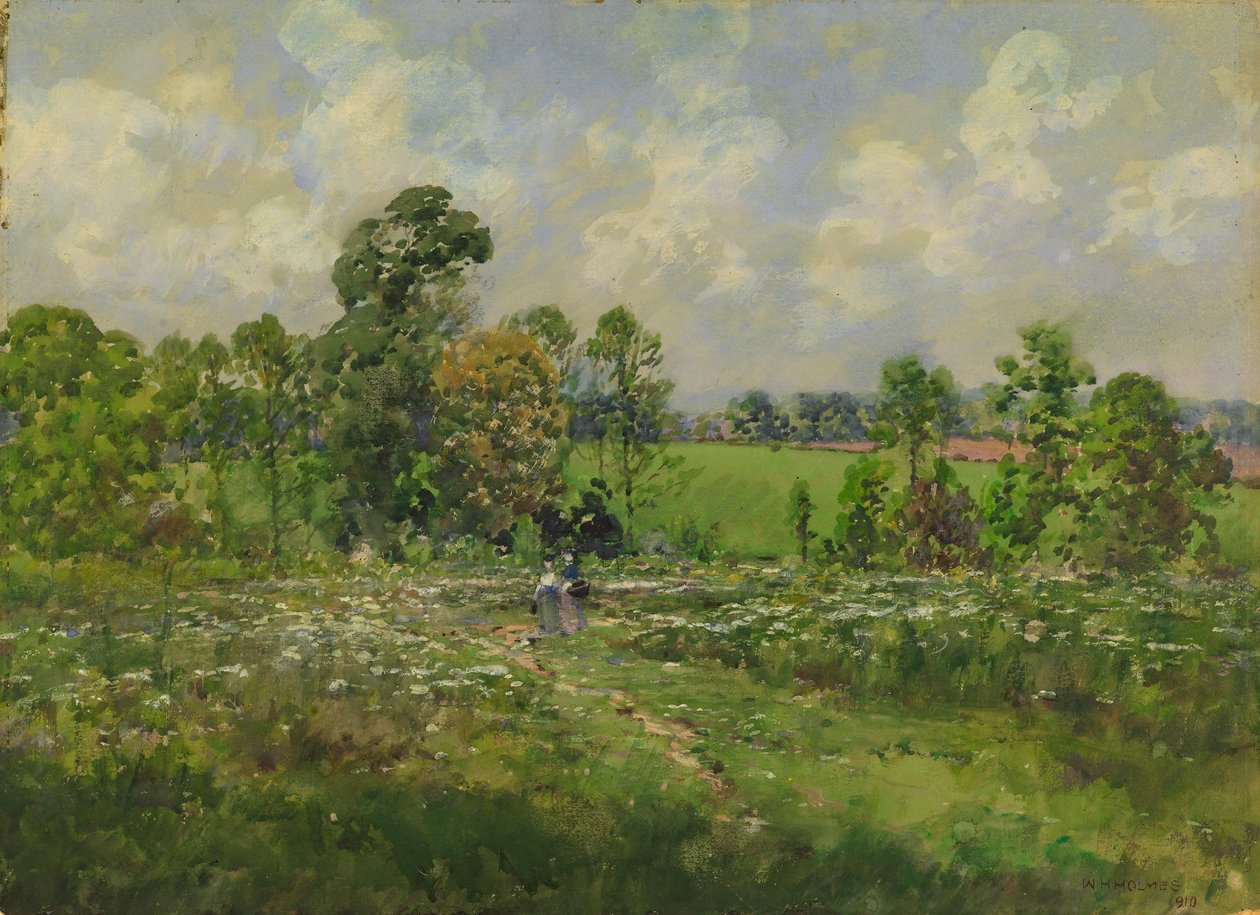 Blomstrende eng af William Henry Holmes