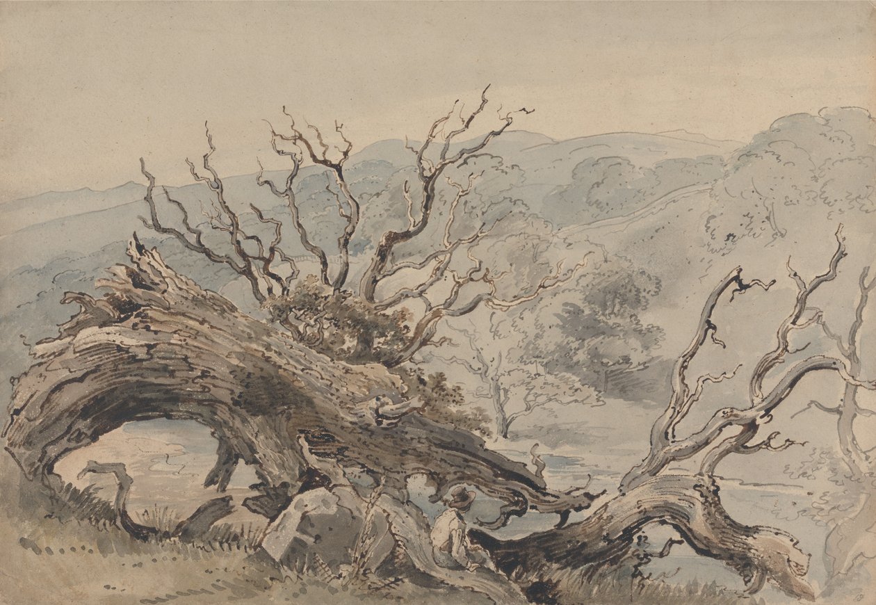 En væltet eg af William Henry Hunt