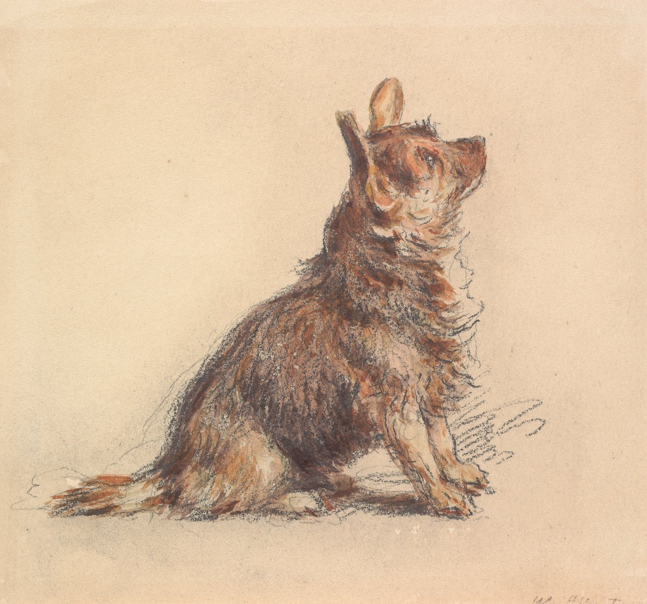 En siddende terrier, der ser op mod højre af William Henry Hunt