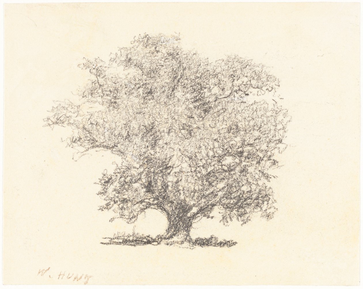 Et træ i fuldblade af William Henry Hunt