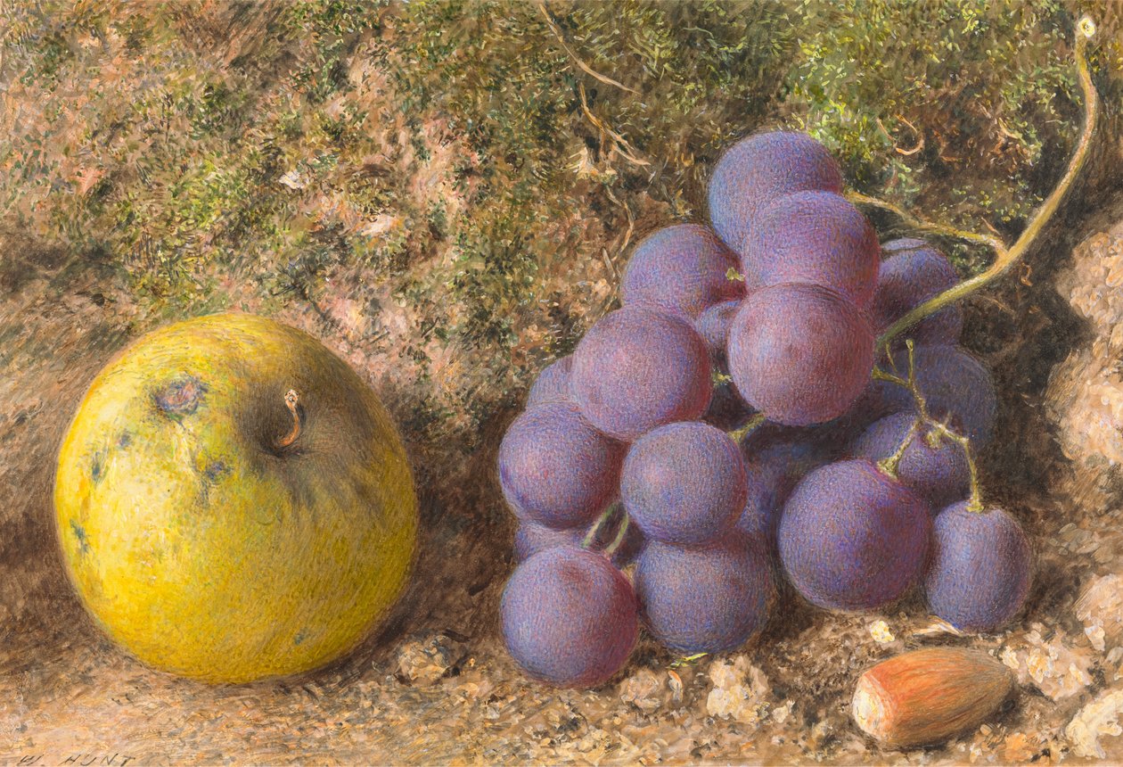 Æble, vindruer og en kobbernød af William Henry Hunt