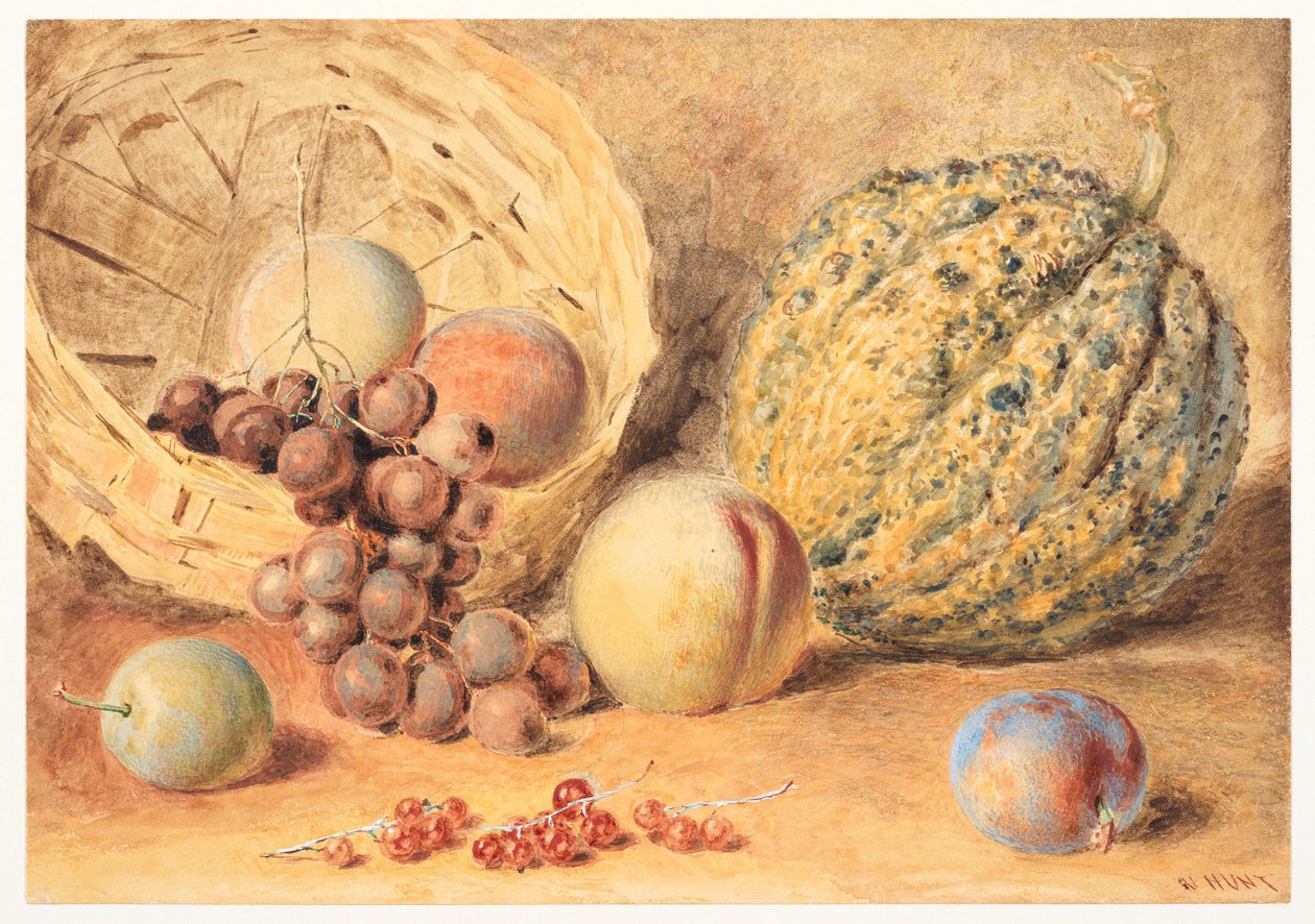 Kurv med melon, ferskner, vindruer og blommer, ca. 1804 (grafit, akvarel tilsat noget gummi arabicum, kropsfarve og ridser ud på vævet papir) af William Henry Hunt