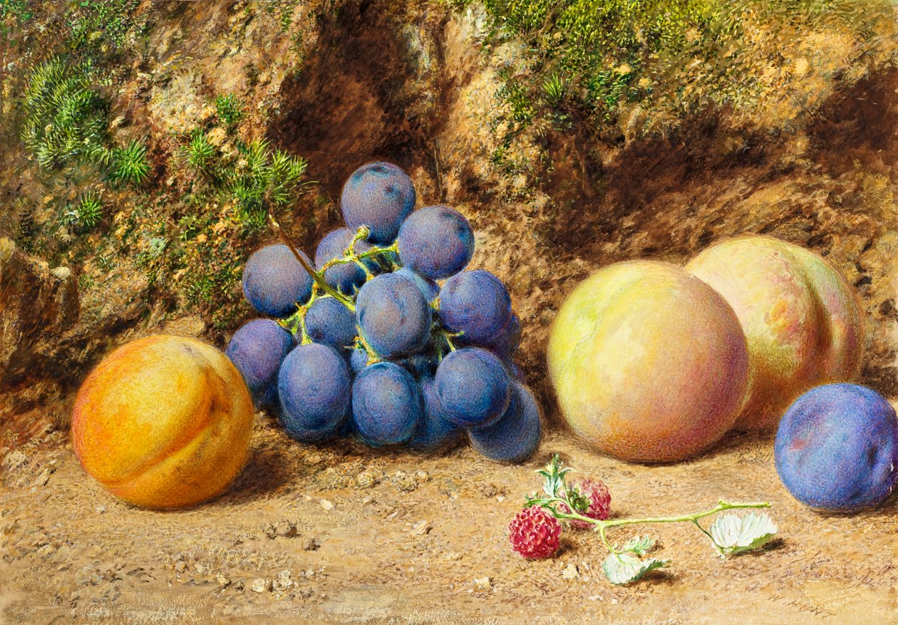 Sorte druer, ferskner, abrikoser og hindbær, ca. 1860 af William Henry Hunt
