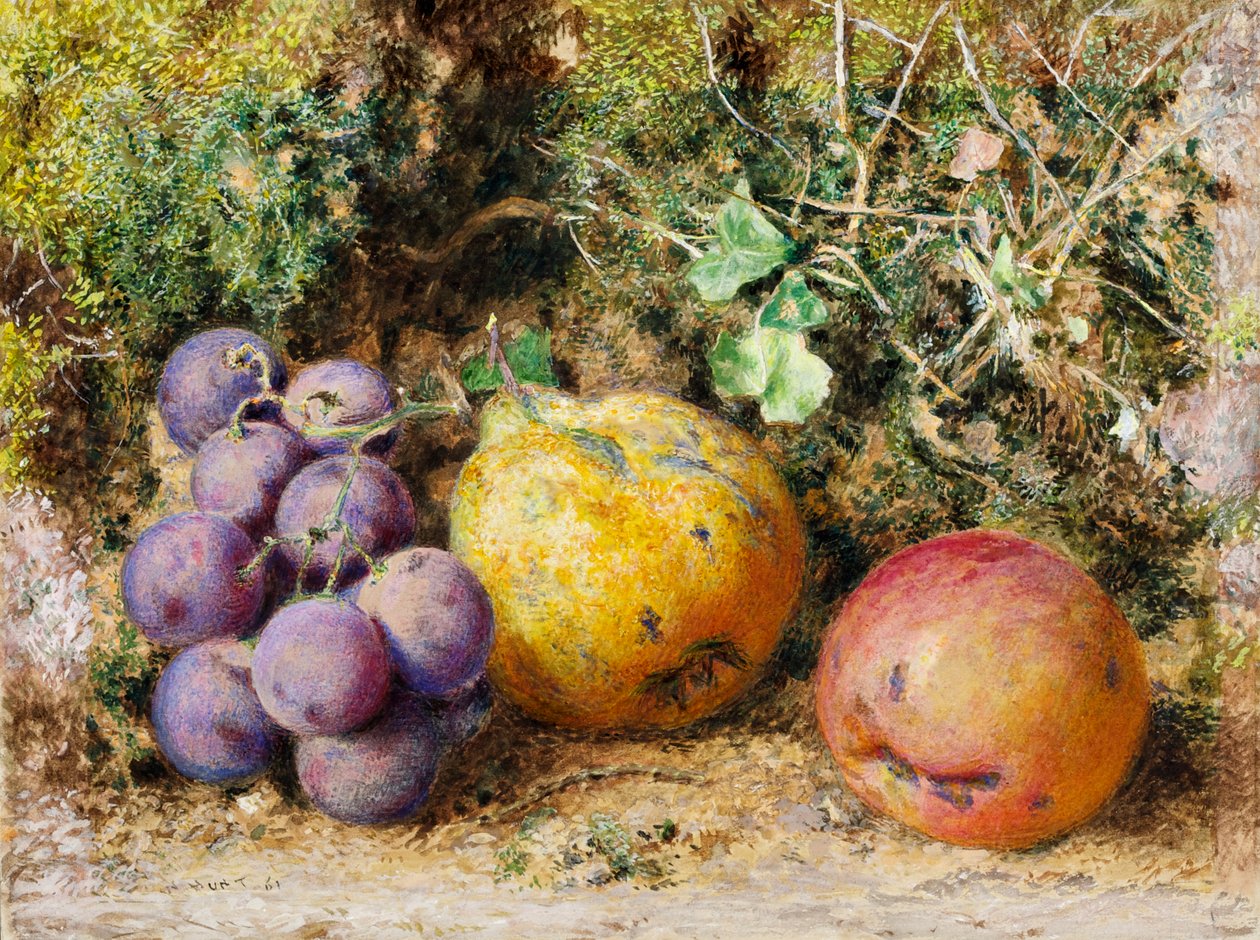 Sorte druer, kvæde og Newtown Pippin, 1861 (wc på kort) af William Henry Hunt
