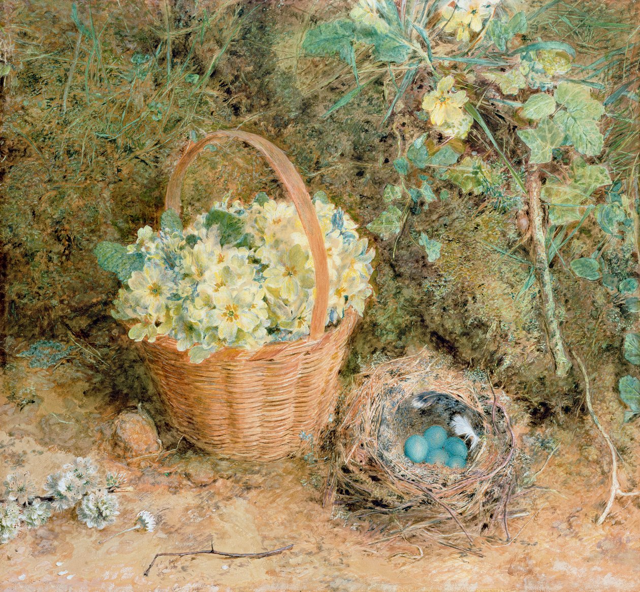Bogfinkered med primula (wc og gouache på papir) af William Henry Hunt
