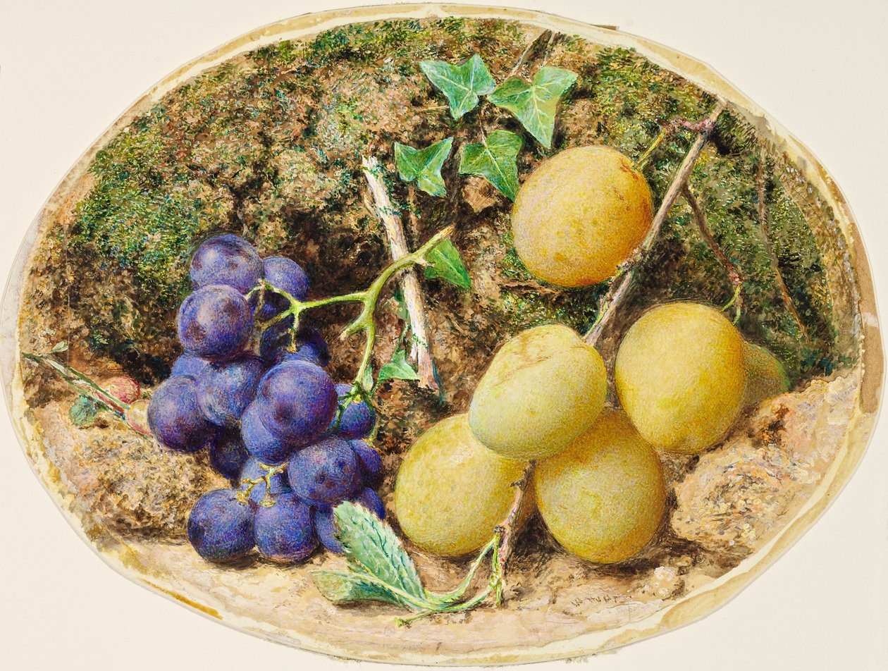Gyldne dråbe blommer og sorte druer, c.1860 af William Henry Hunt