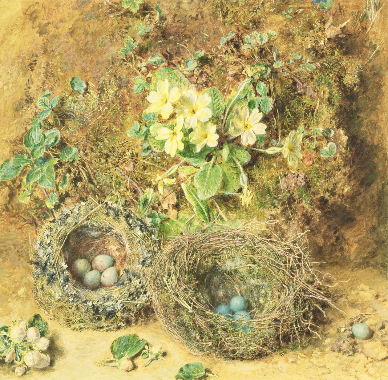 Primulaer og Fuglereder af William Henry Hunt