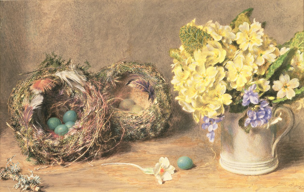 Forårsblomster og fuglerede, ca. 1830 (akvarel og kropsfarve på papir) af William Henry Hunt
