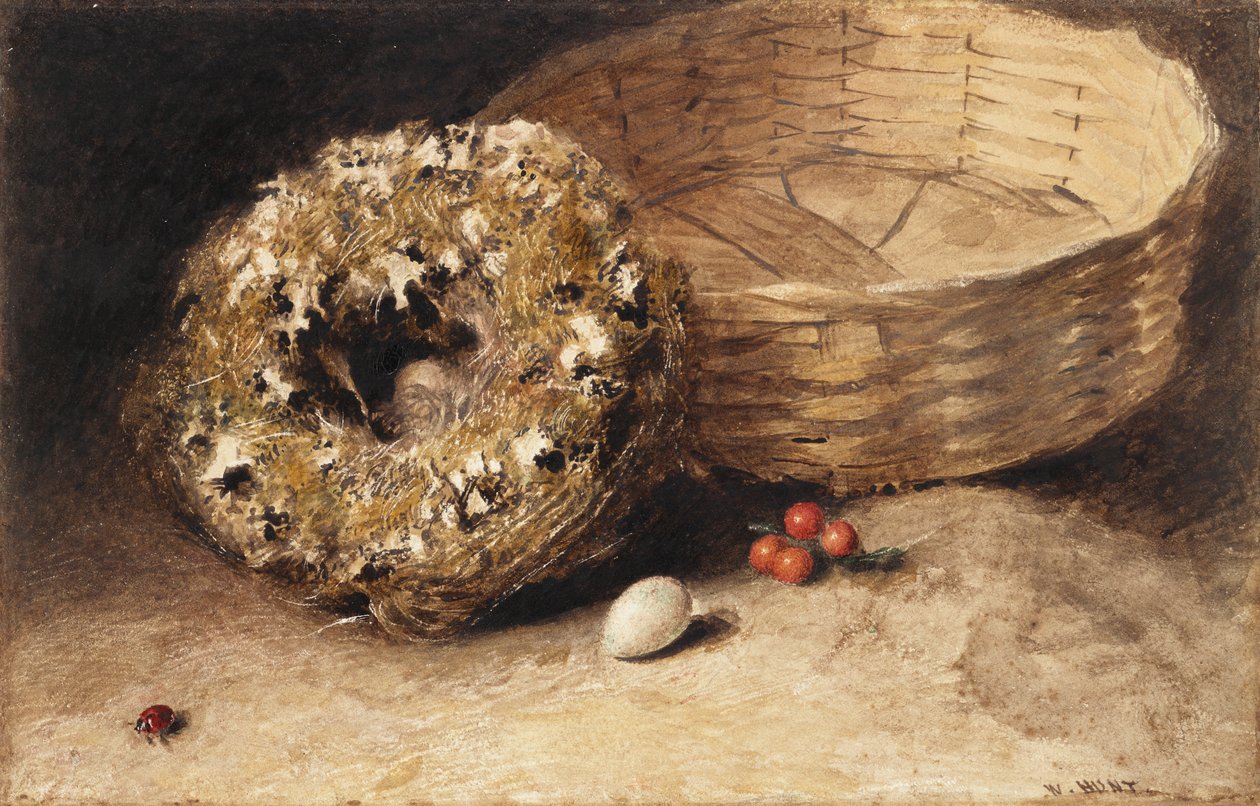 Stilleben med kurv, rede, æg, ribs og mariehøne af William Henry Hunt
