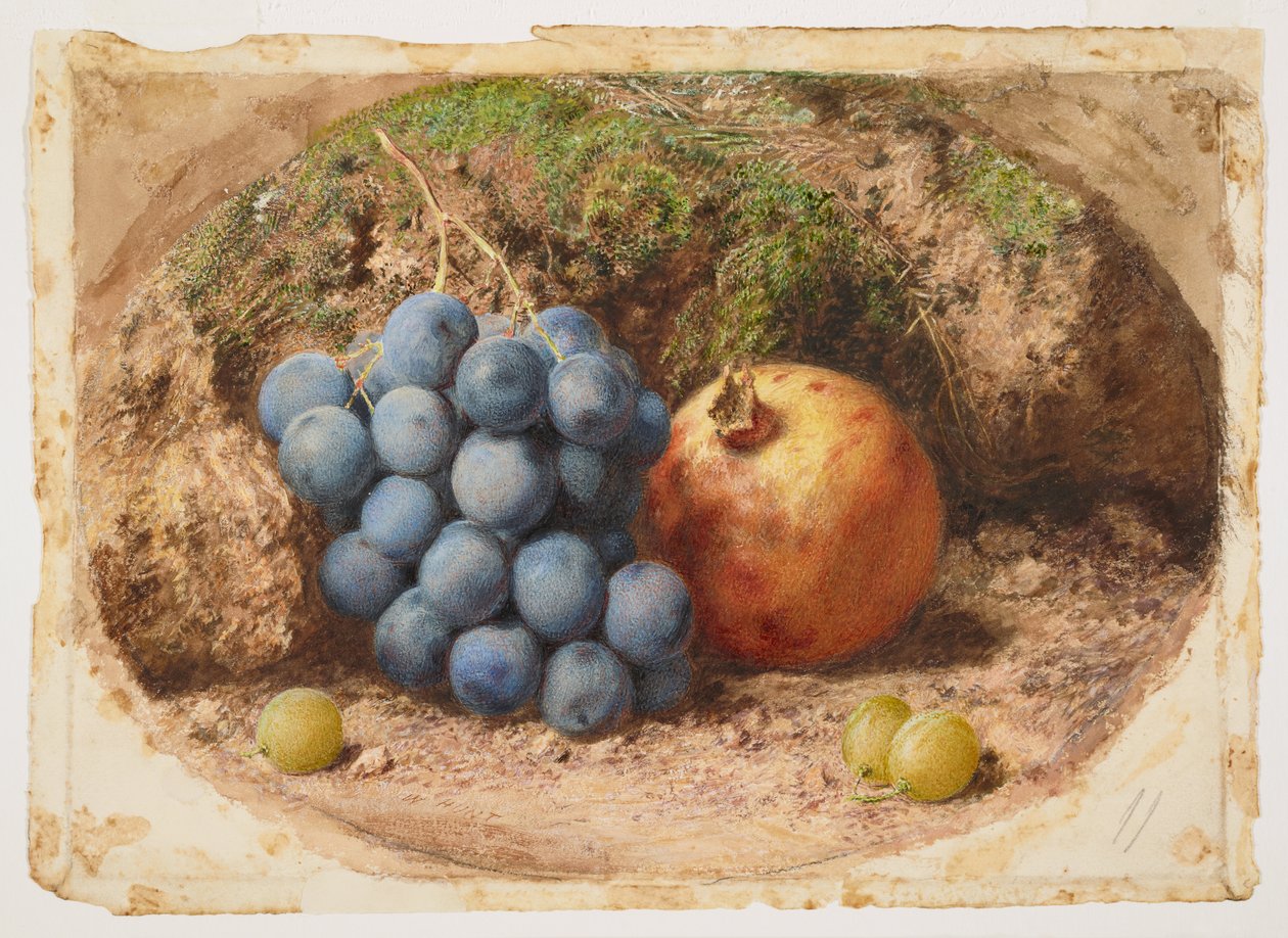 Stilleben med druer og et granatæble af William Henry Hunt