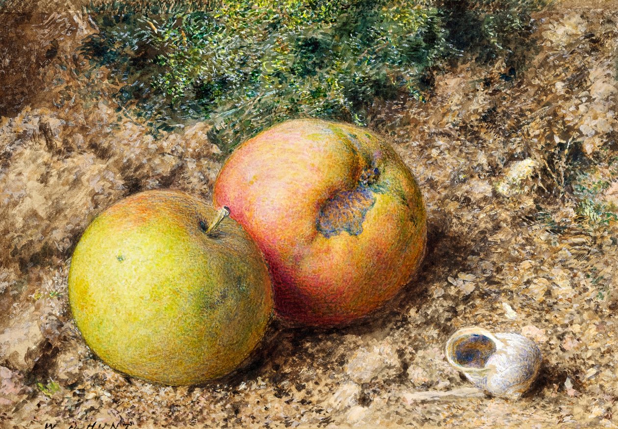 Stilleben med to æbler og en snegleskal af William Henry Hunt