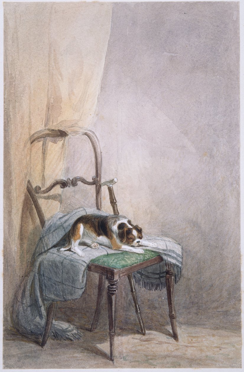 Studie af en hund på en stol (akvarel på papir) af William Henry Hunt