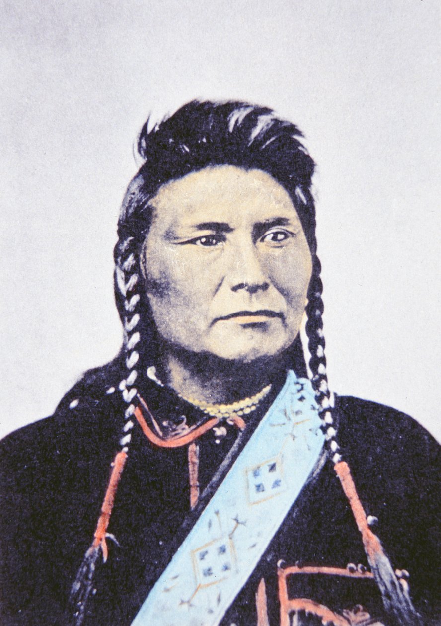 Chief Joseph (1840-1904) 1878 (foto) af William Henry Jackson