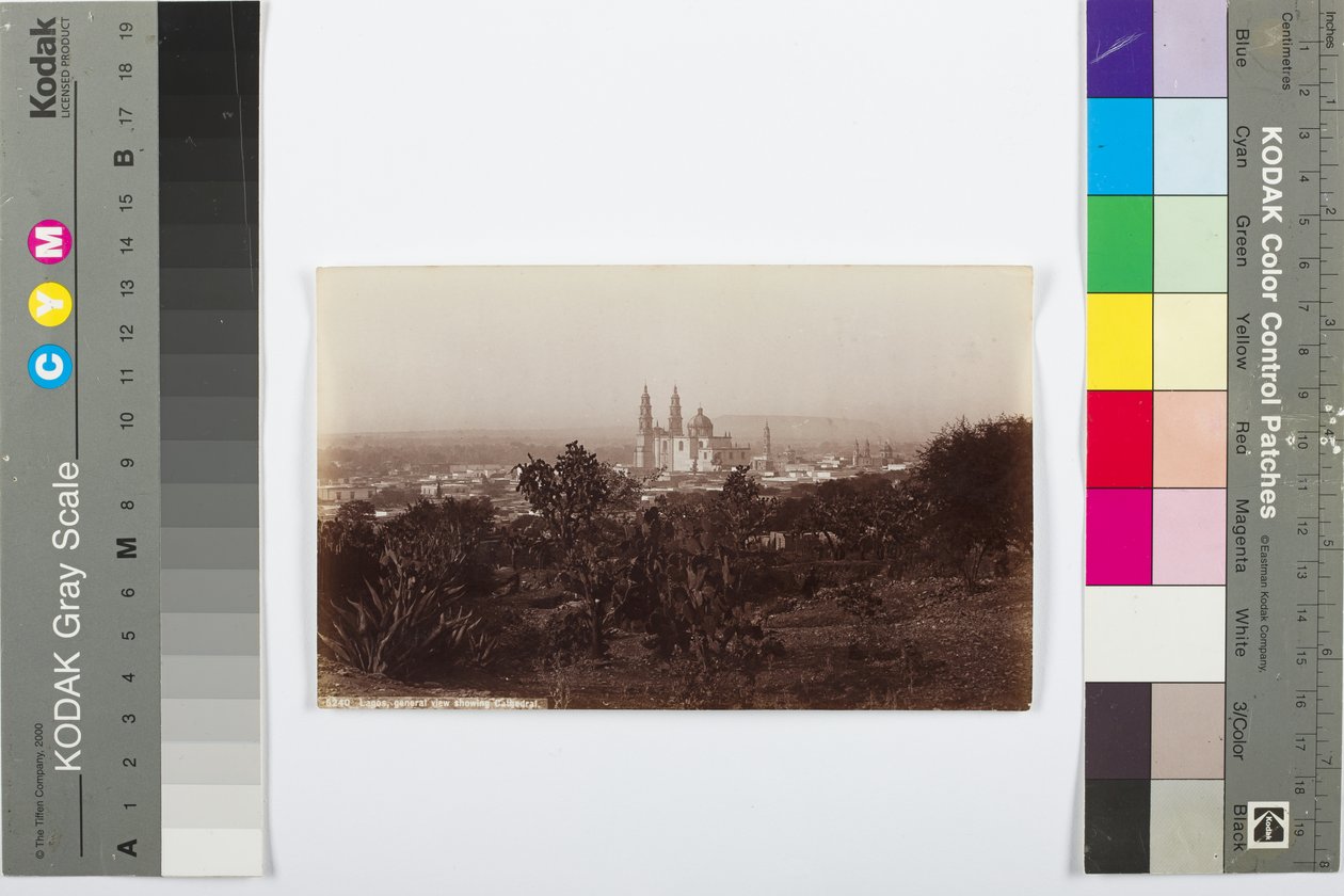 Lagos, generel visning af katedralen, 1883-1884 (albumin print) af William Henry Jackson