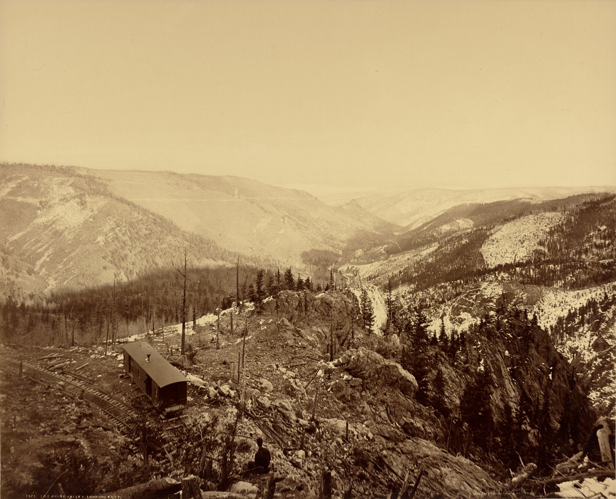 Los Pinos-dalen, set mod øst af William Henry Jackson