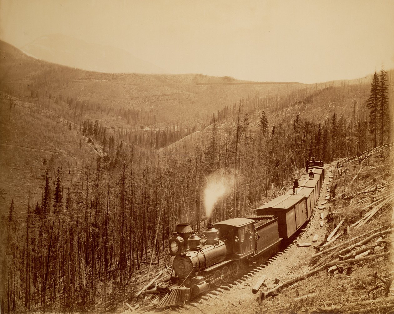 Marshall Pass, Westside af William Henry Jackson