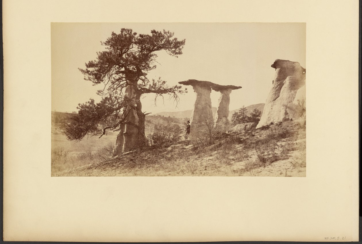 Monument Park, Det hollandske bryllup af William Henry Jackson