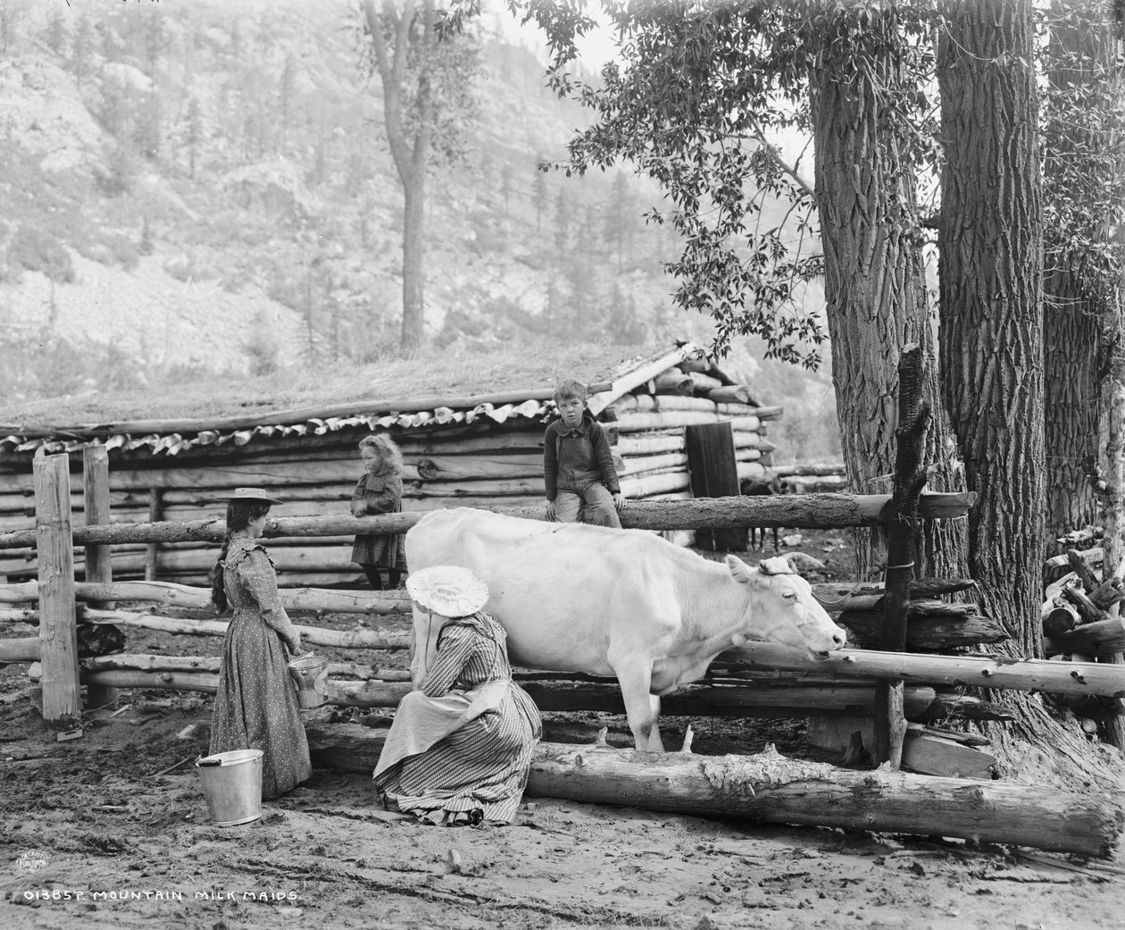 Bjergmælkepiger i Colorado, ca. 1900 (s/h-billede) af William Henry Jackson