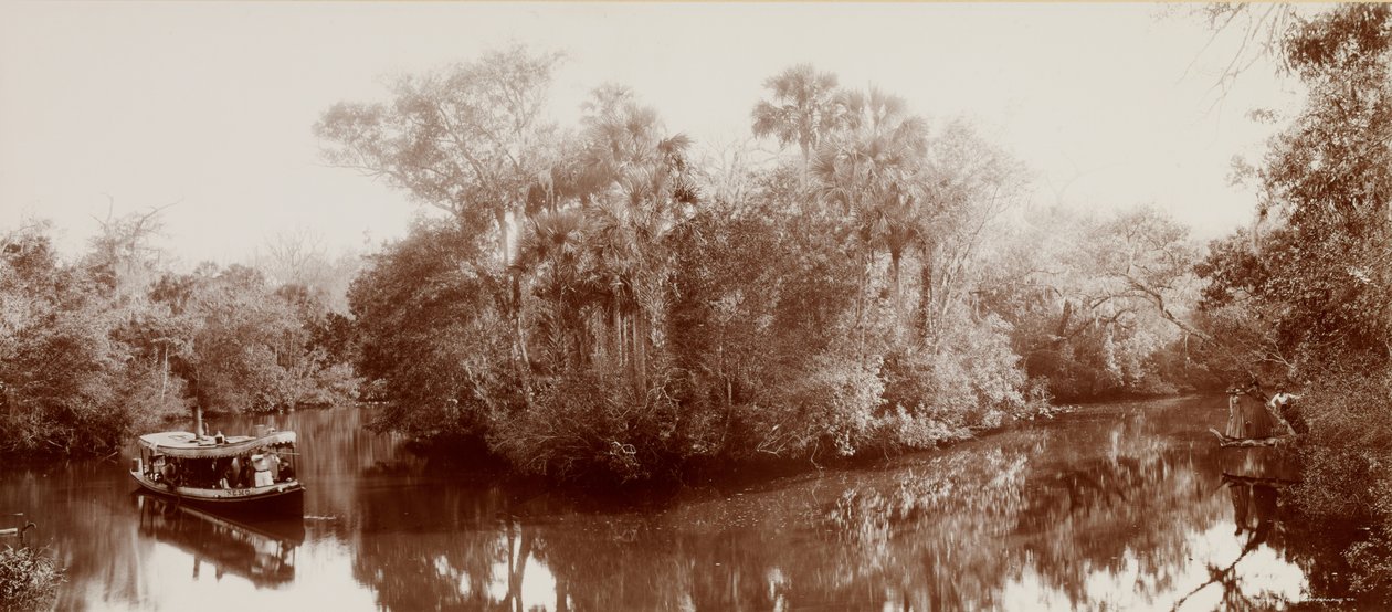 På Tomoka nær Ormond, Florida af William Henry Jackson