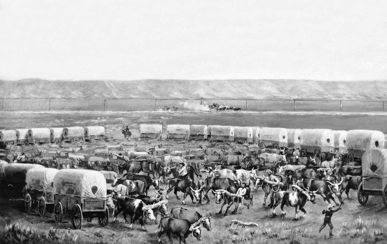 Okser, der samles i en indhegning af overdækkede vogne i et maleri af W. H. Jackson, Scotts Bluff, Nebraska: ca. 1875 af William Henry Jackson