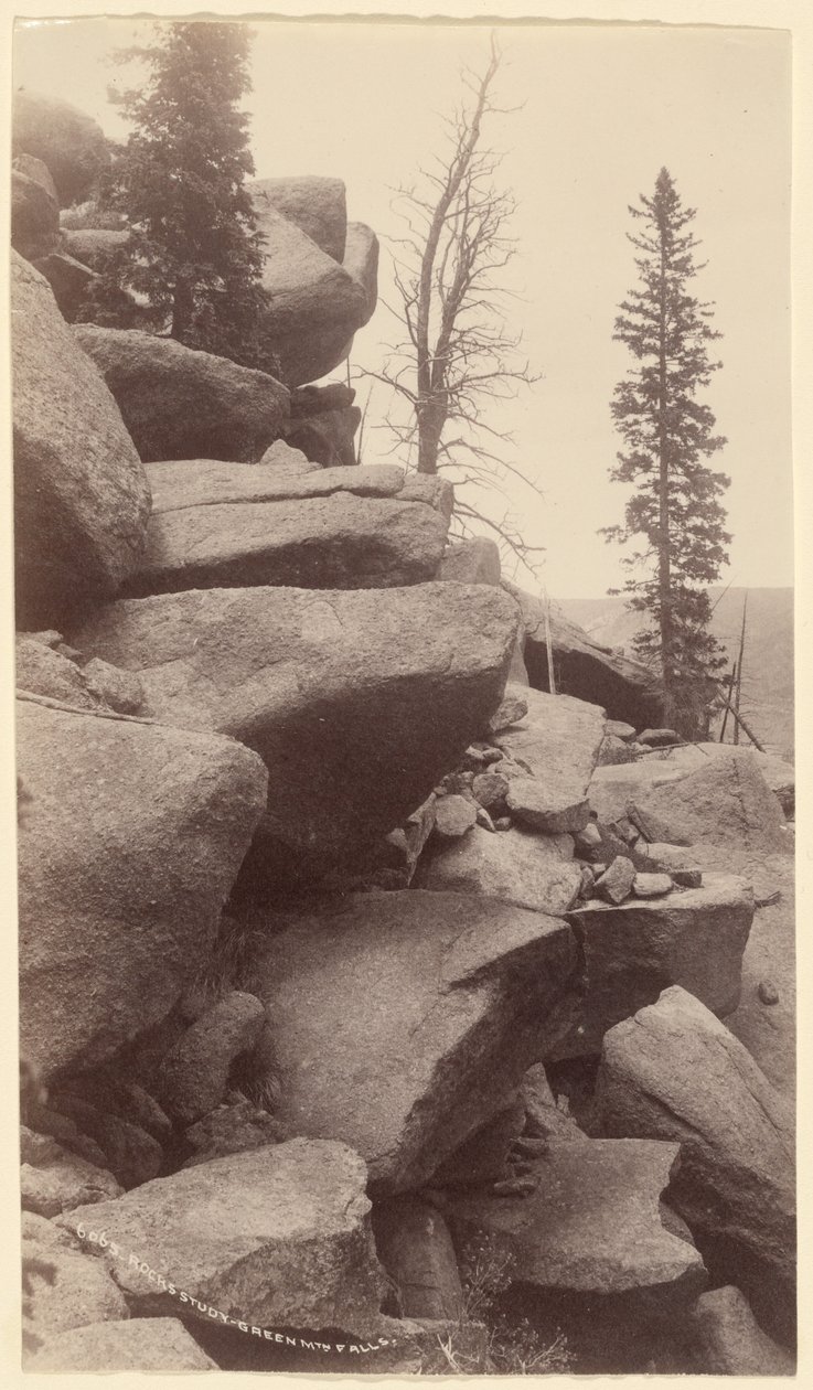 [Undersøgelse af klipper, Green Mountain Falls, Colorado] af William Henry Jackson