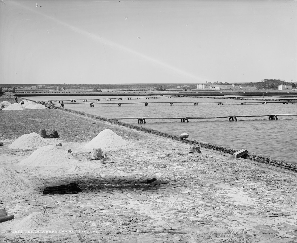 Saltværker og raffineringskar, Mexico, ca. 1880-97 af William Henry Jackson