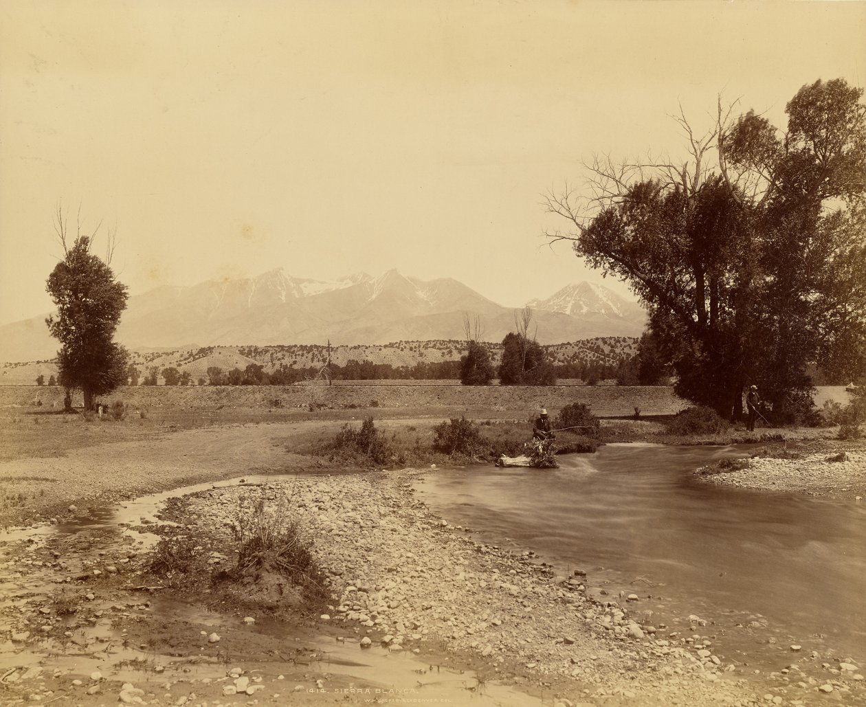 White Mountain af William Henry Jackson