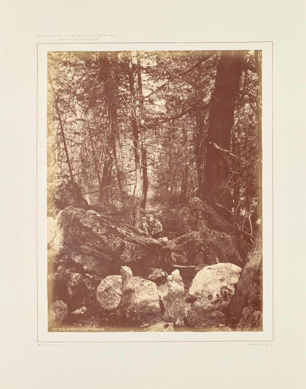 Sporet i skoven, Gallatin Cañon af William Henry Jackson